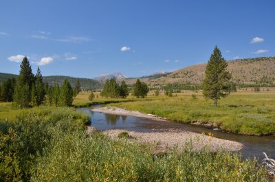 Moose Bog