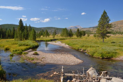 Moose Bog