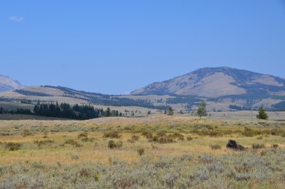 Gardners Hole