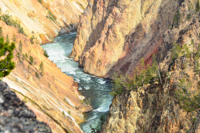 Cyn North Rim