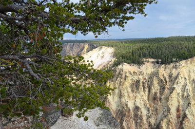 Cyn North Rim