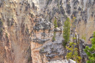 Cyn North Rim