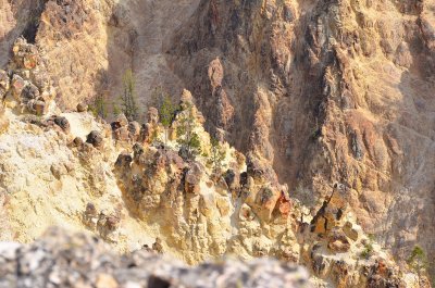 Cyn North Rim