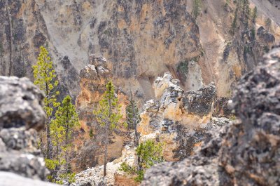 Cyn North Rim