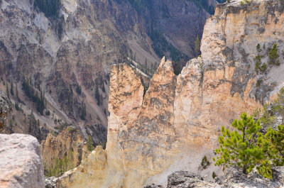 Cyn North Rim