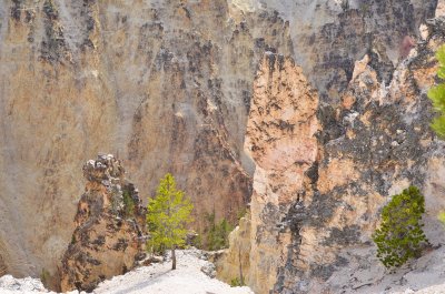 Cyn North Rim