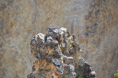 Cyn North Rim
