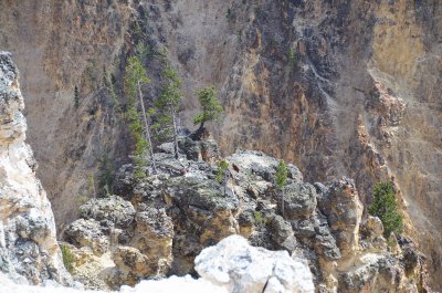 Cyn North Rim