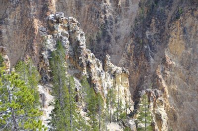Cyn North Rim