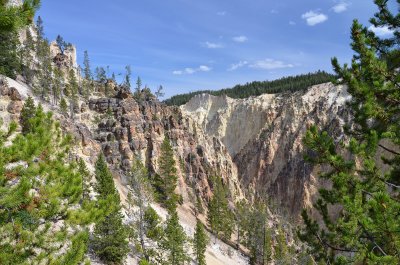 Cyn North Rim