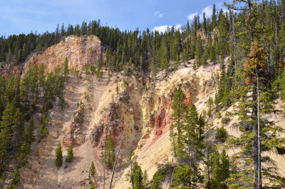 Cyn North Rim