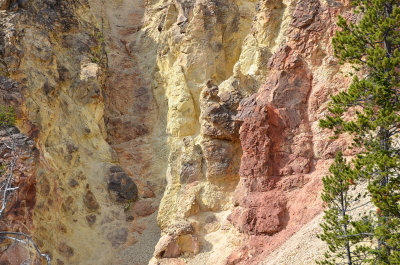 Cyn North Rim