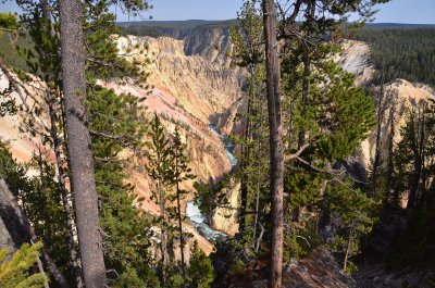 Cyn North Rim