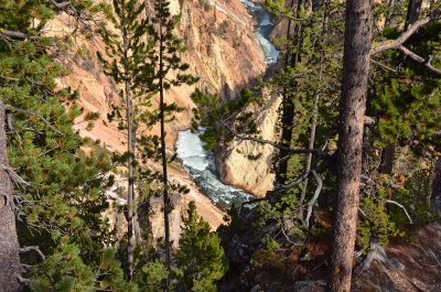 Yellowstone Grand Cyn N. Rim
