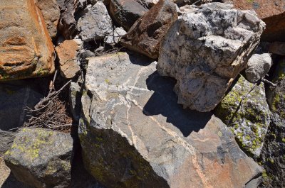 Cascade Cyn Trail