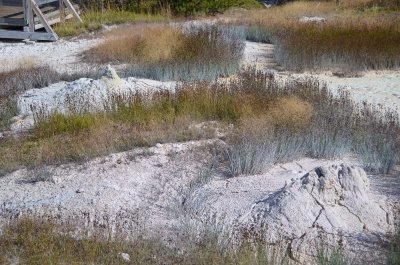 West Thumb Geyser Basin