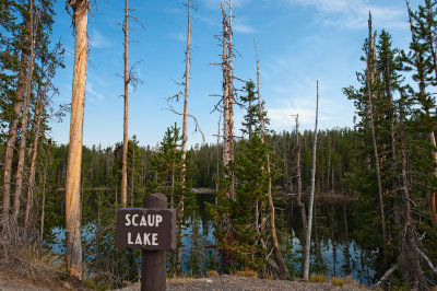 Scaup Lake