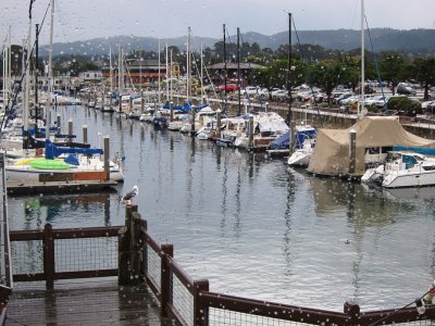 g4/24/745724/3/139821156.MLTXCjO3.jpg