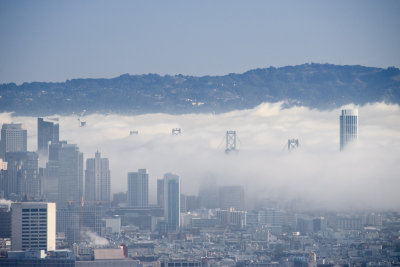 Early Morning Fog