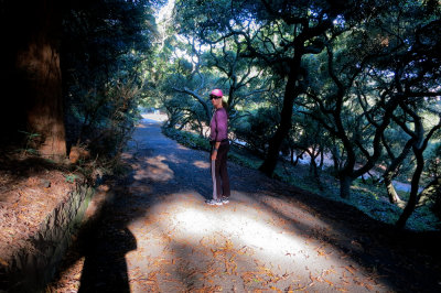 Buena Vista Park Views