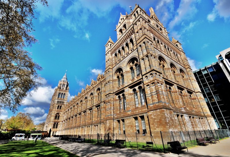 Natural History Museum