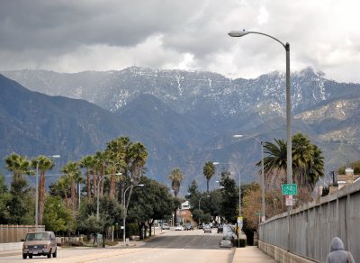 Pasadena Winter