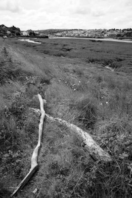 River Torridge