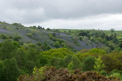 Midsummer dell 4