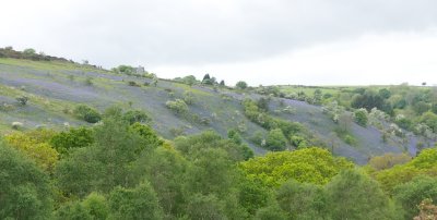 Midsummer dell 3
