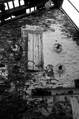 Rural Devon 19