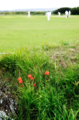 Oh England, my lionheart.