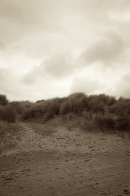Summer in Devon