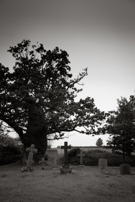 g4/24/766024/3/137549218.PxD3Q5Oz.jpg