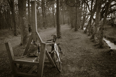 Boike