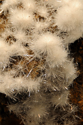 Gypsum from Smithsonian Natural History Museum