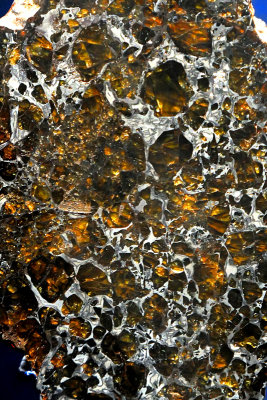 Pallasite Meteorite slice from Smithsonian Natural History Museum
