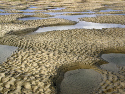 Tidal area at North Myrtle Beach SC