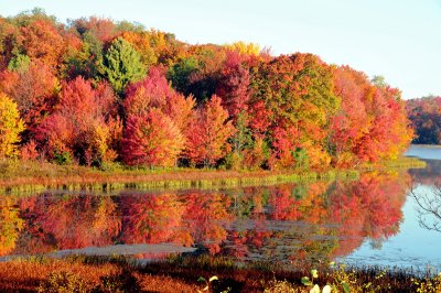 Central Pa in mid October