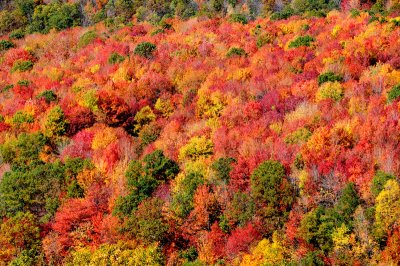 Central Pa in mid October