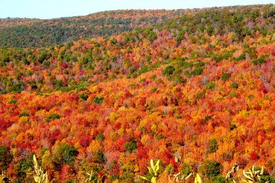 Central Pa in mid October