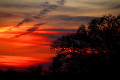 Southern Maryland Sunset