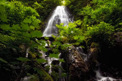 The Hike to Fairy Falls