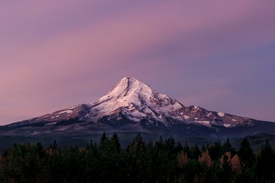 Early Morning Light