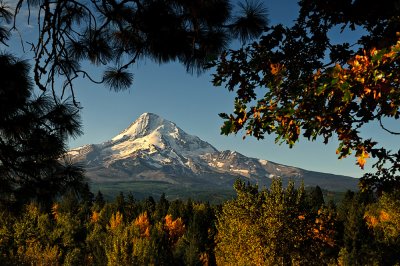 Mt Hood 