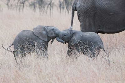 Kids at play