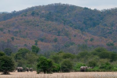   Zambezi escarpment