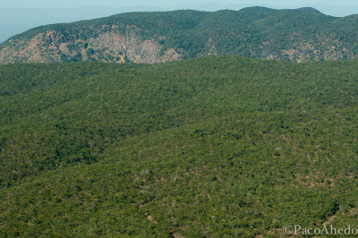 Zambezi Escarpment