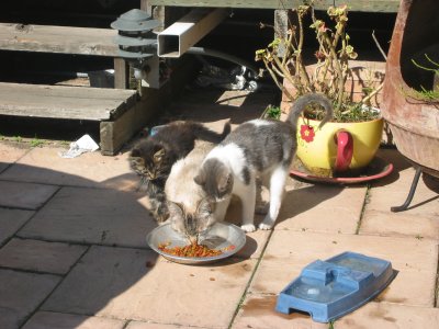 IMG_0986.JPG