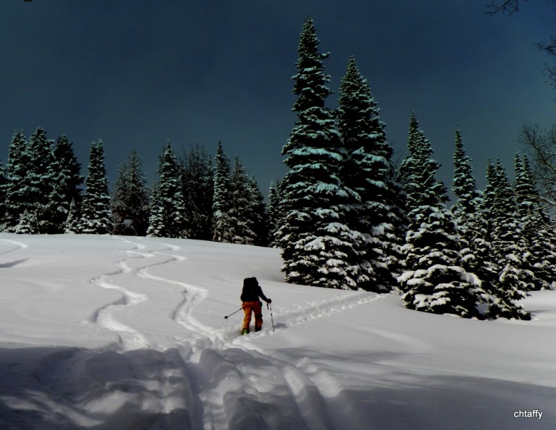 Skinning up