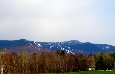 Stowe Mt - May '11